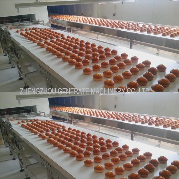 Food Grade Straight Belt Conveyor 3